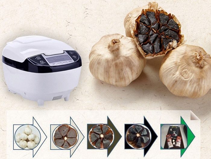 Máy làm tỏi đen Perfect PF-MC108 - Hàng chính hãng