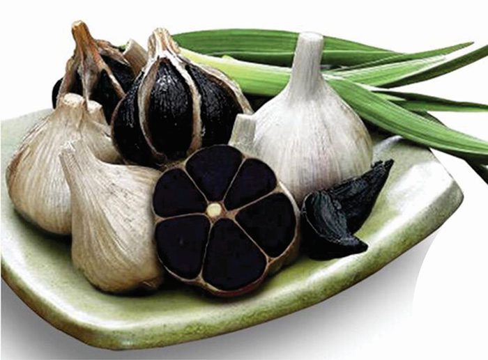 Máy làm tỏi đen Sunca SF-G100 - Hàng chính hãng