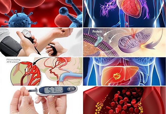 Công dụng chữa bệnh của Máy làm tỏi đen