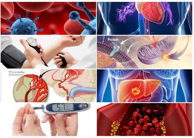 Máy làm tỏi đen Tiross TS906 - Hàng chính hãng