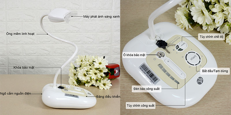 Máy làm trắng răng chuyên nghiệp Rio DCWH7-C - Hàng chính hãng