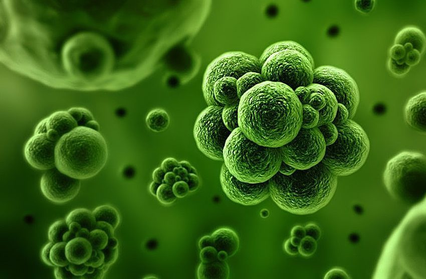 Máy lạnh Electrolux 1.5HP ESM-12CRM-A3 - Hàng chính hãng