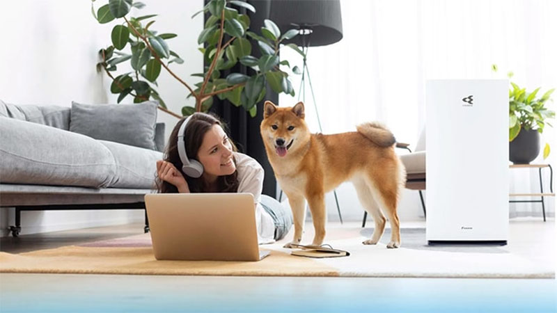 Máy lọc không khí Daikin MC80ZVM7 - Hàng chính hãng