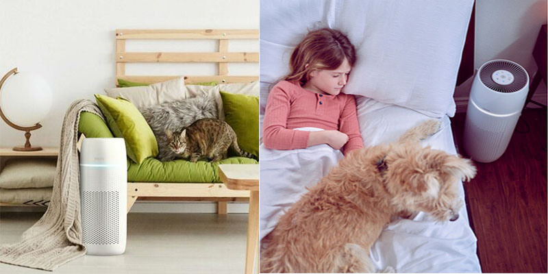 Máy lọc không khí gia đình Homedics AP-PET35A-WT - Hàng chính hãng