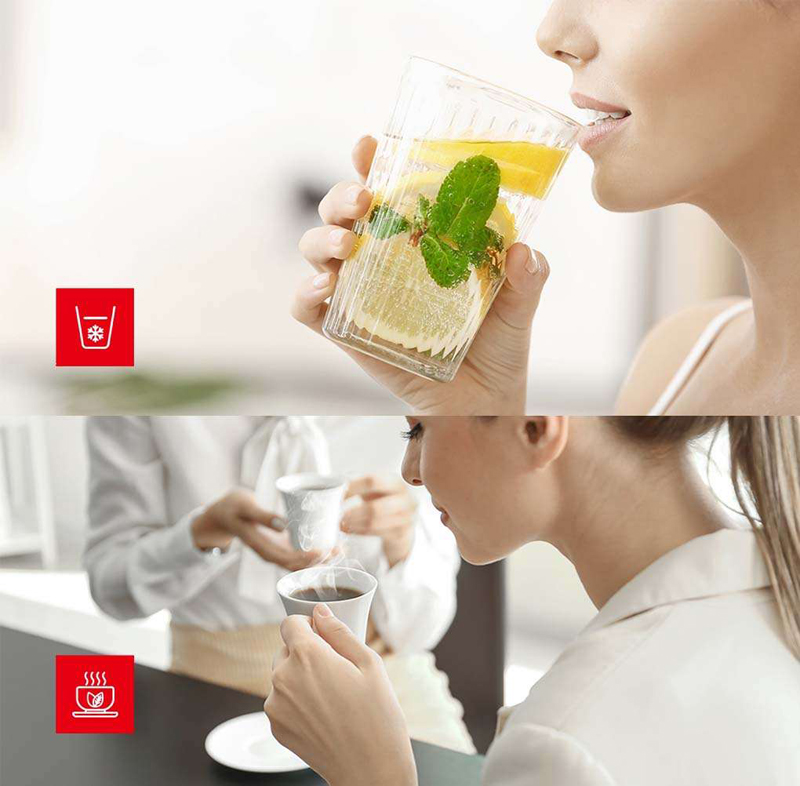 Máy lọc nước diệt khuẩn Toshiba TWP-N1660SVN(W) - Hàng chính hãng