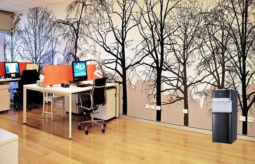 Máy nước nóng lạnh Electrolux QAXF01BXBV - Hàng chính hãng