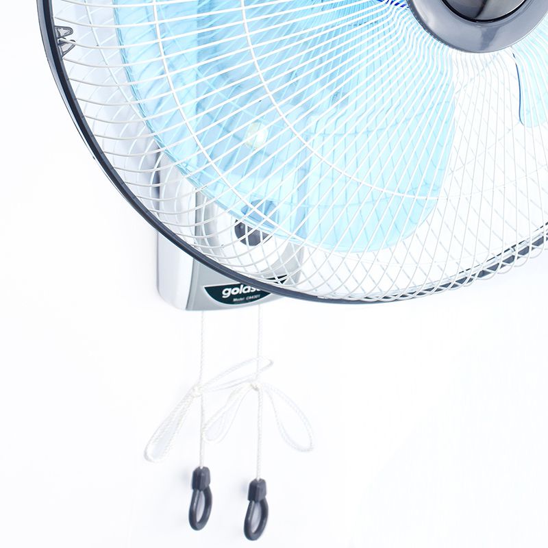 Quạt treo tường Goldsun CA4301 - Hàng chính hãng