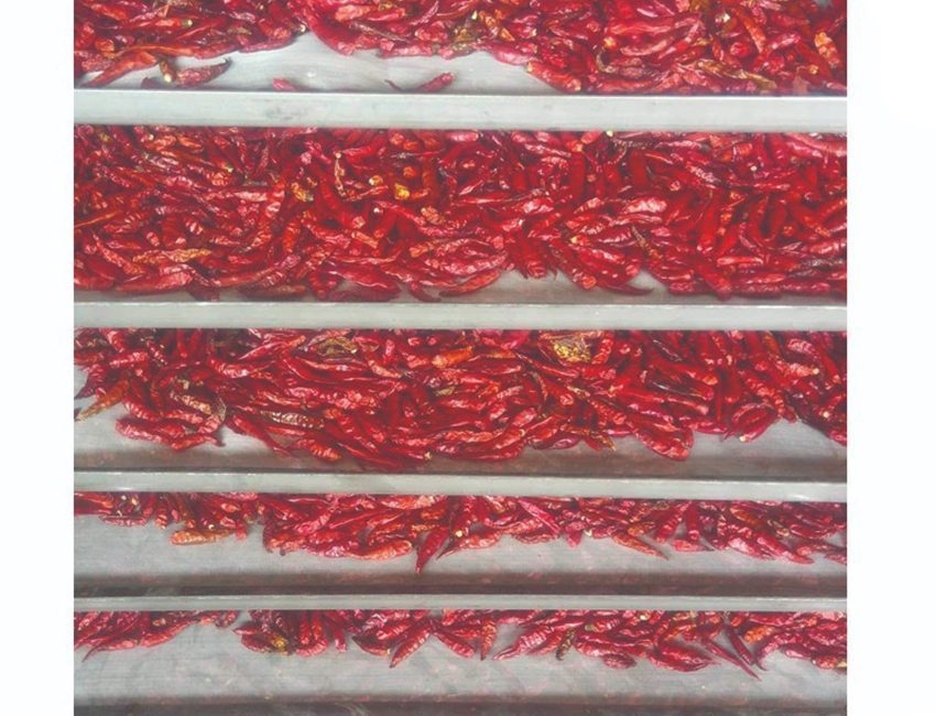 Máy sấy thực phẩm Ánh Dương AD Mini 2A SẤY ỚT 