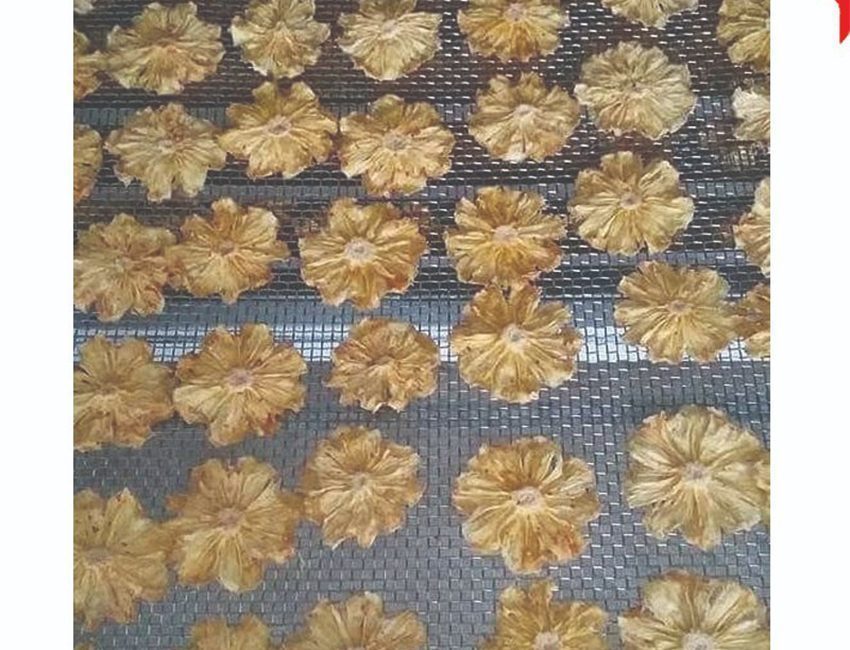 Máy sấy gia đình Ánh Dương AD Mini 3 – Thép - Hàng chính hãng