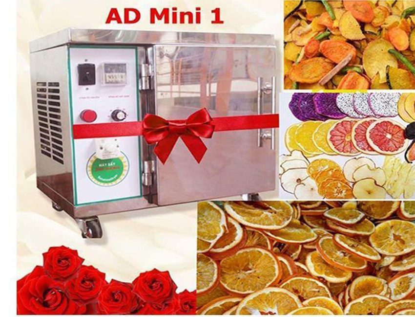 Máy sấy gia đình Ánh Dương AD Mini 1 – Inox