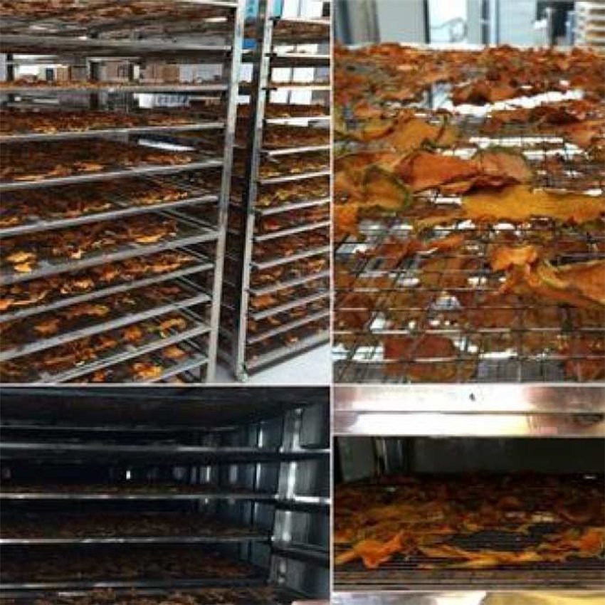 Máy sấy Ánh Dương AD mini4 full Inox 304 sấy các loại thực phẩm