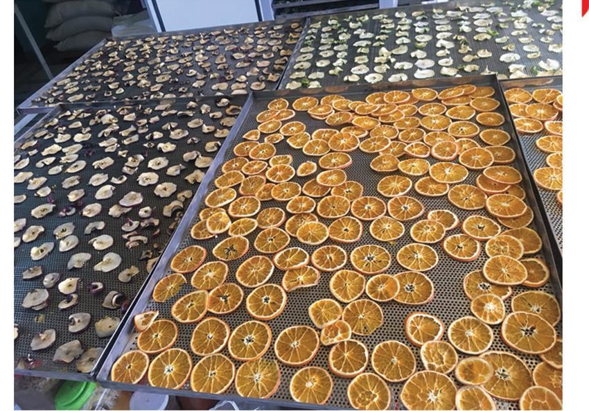 Máy sấy Ánh Dương nhiệt độ cao AD3H sấy các laoi5 thực phẩm