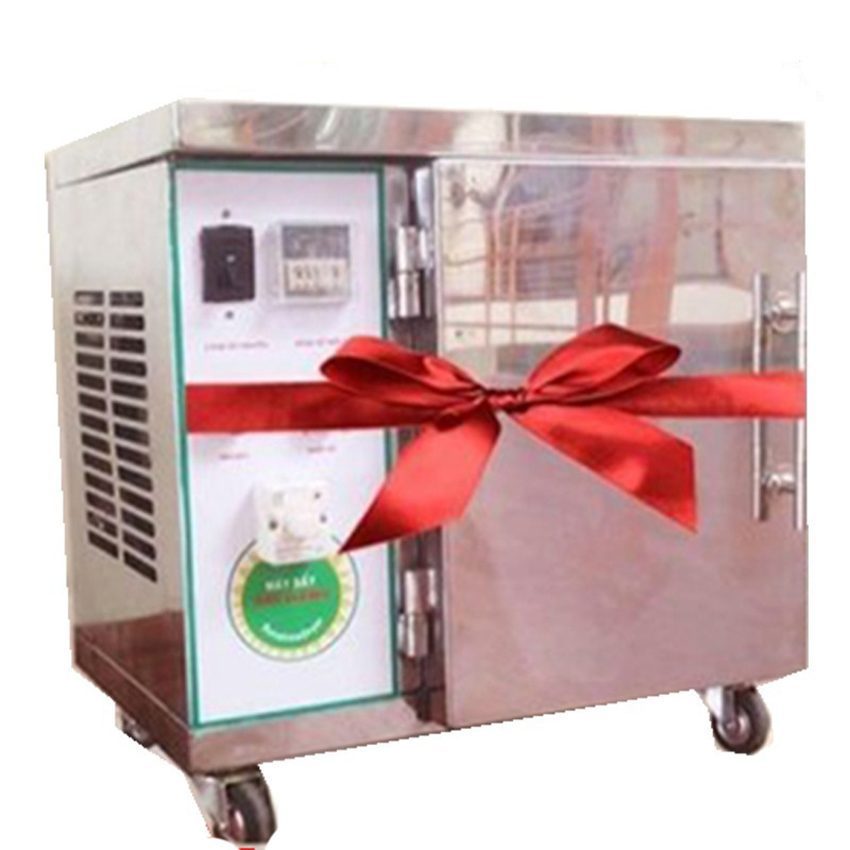 Máy sấy hoa quả Ánh Dương Mini 2 Inox - Hàng chính hãng