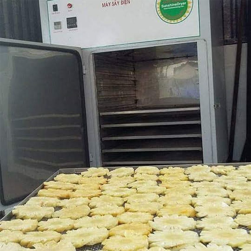 Máy sấy Ánh Dương AD1 9 khay 72cm x 100cm sấy hoa quả