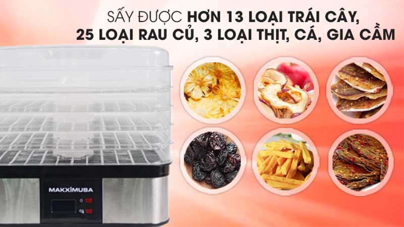Máy sấy hoa quả, thực phẩm Makxim MKX-DH-2015 - Hàng chính hãng