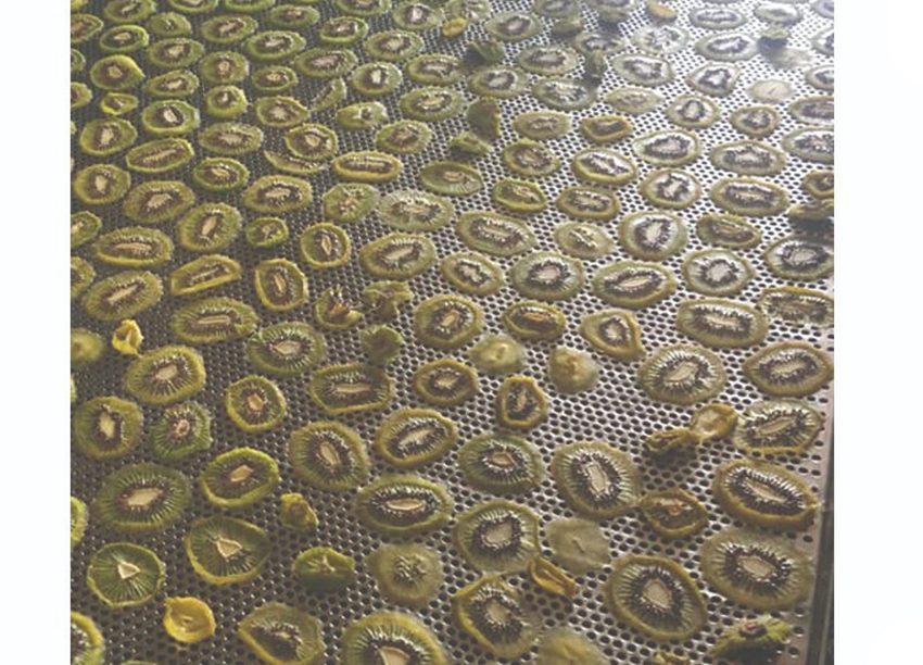 Máy sấy lạnh Ánh Dương AD1 sấy khô hoa qủa