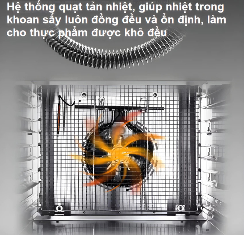 Máy sấy thực phẩm Septree DBC-08A01  - Hàng chính hãng