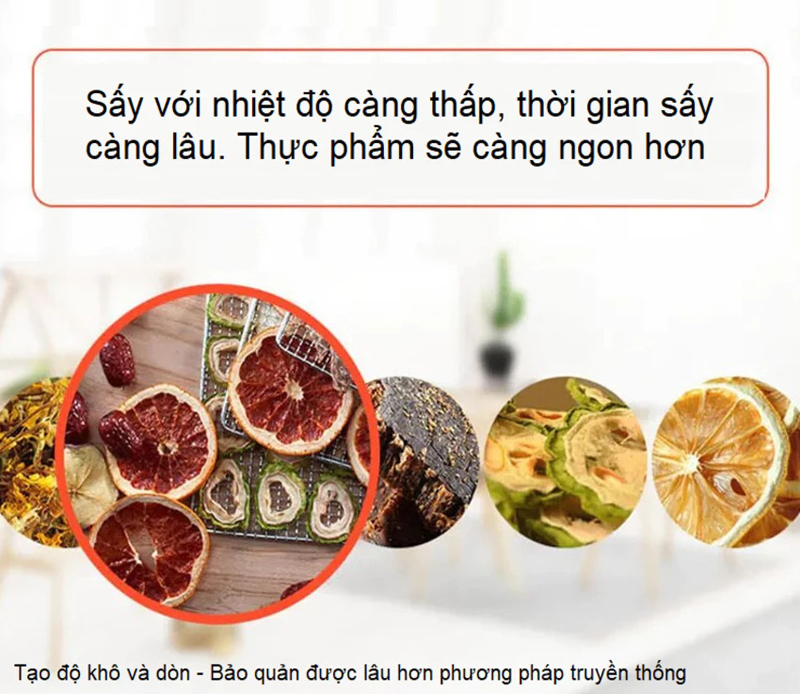 Máy sấy thực phẩm Septree DBC-08A01  - Hàng chính hãng