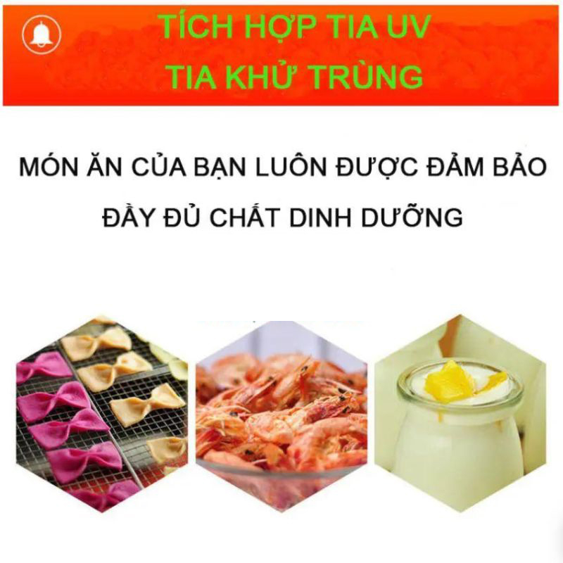Máy sấy thực phẩm Septree ST-04 - Hàng chính hãng