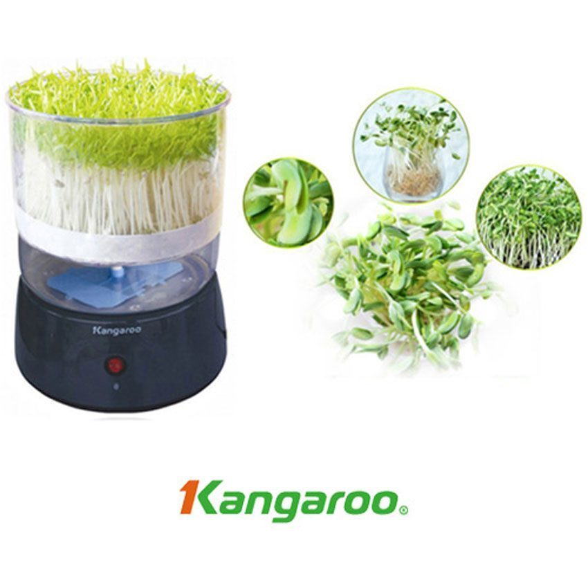Máy làm rau mầm Kangaroo KG-261 - Hàng chính hãng