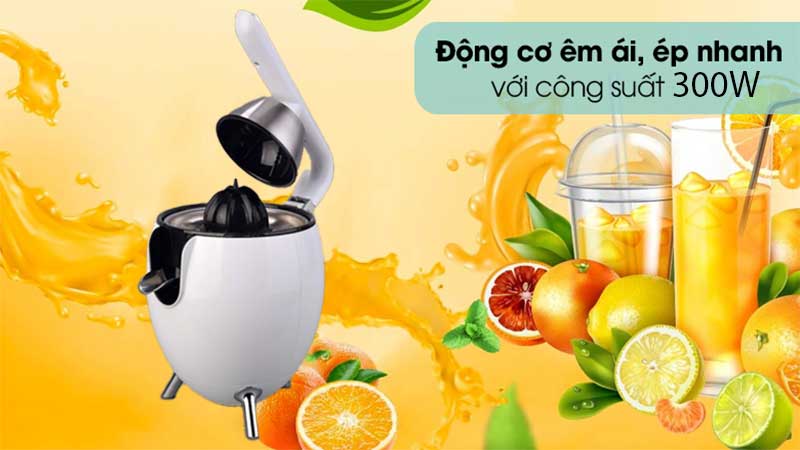Máy vắt cam dùng điện Ririhong VA-6016A - Hàng chính hãng
