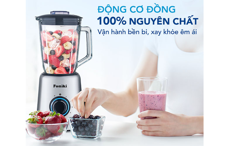 Động cơ của Máy xay sinh tố đa năng Funiki HCB2252