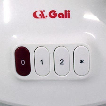 Máy sinh tố Gali GL-1507 - Hàng chính hãng