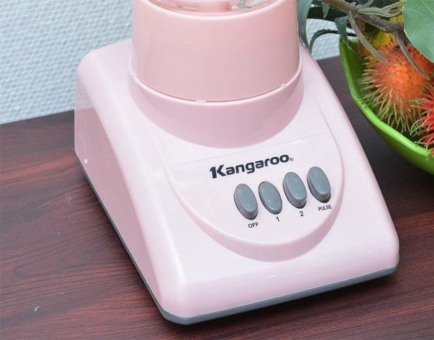 Công tắc của máy xay sinh tố Kangaroo KG-304