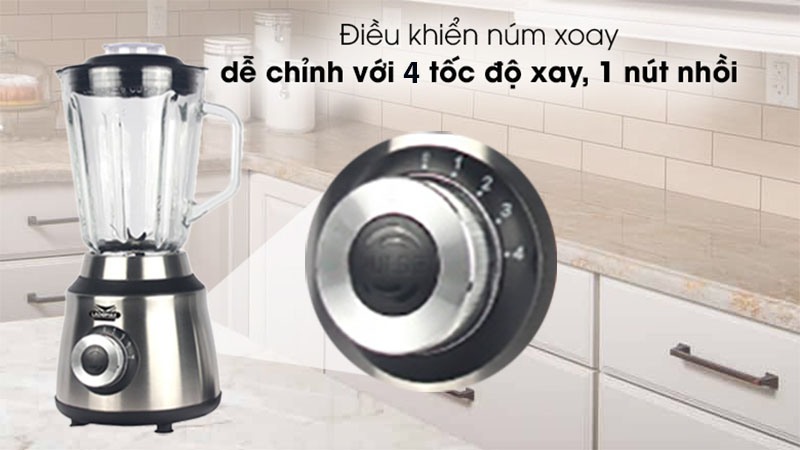 Điều khiển của Máy xay sinh tố Ladomax HA-9168-2