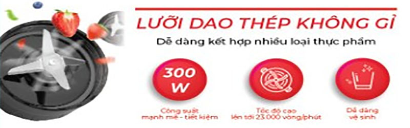 Máy xay sinh tố Rapido RB-300M - Hàng chính hãng