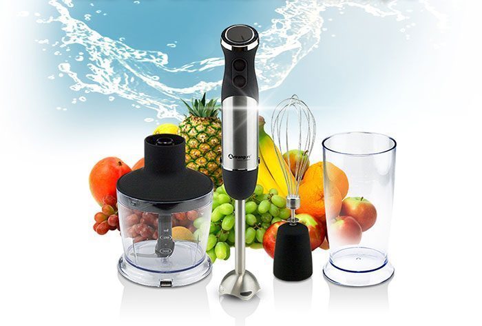 Máy xay sinh tố cầm tay Arirang Life EB-AL2046