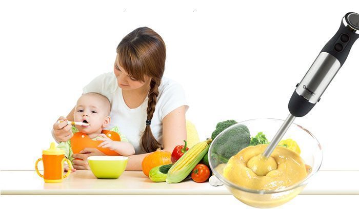 Máy xay sinh tố cầm tay Arirang Life EB-AL2046