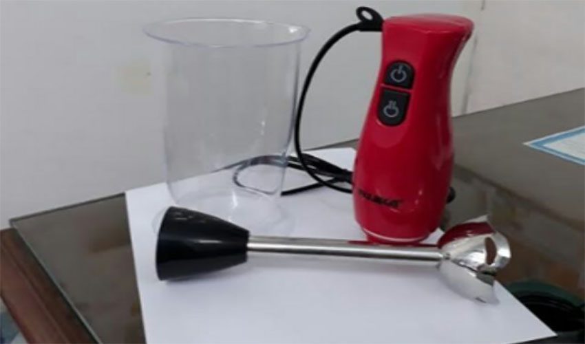 Máy xay sinh tố cầm tay Fujika FJ-148 - Hàng chính hãng