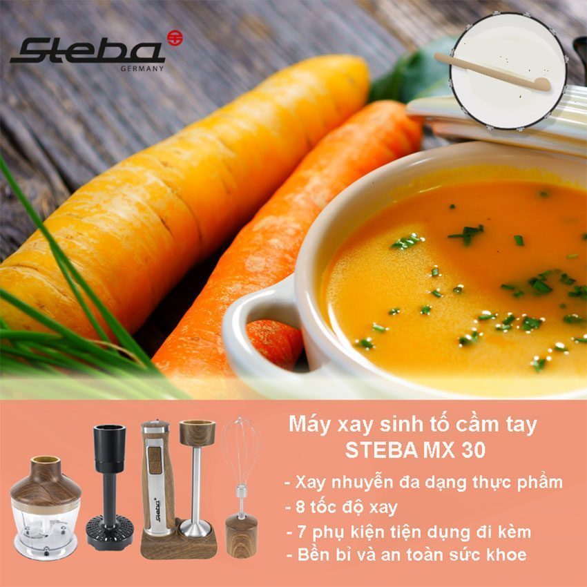 Máy xay sinh tố cầm tay Steba MX30 - Hàng chính hãng
