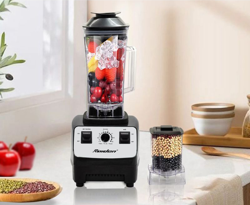 Máy xay sinh tố Raiden RD-620ST - Hàng chính hãng
