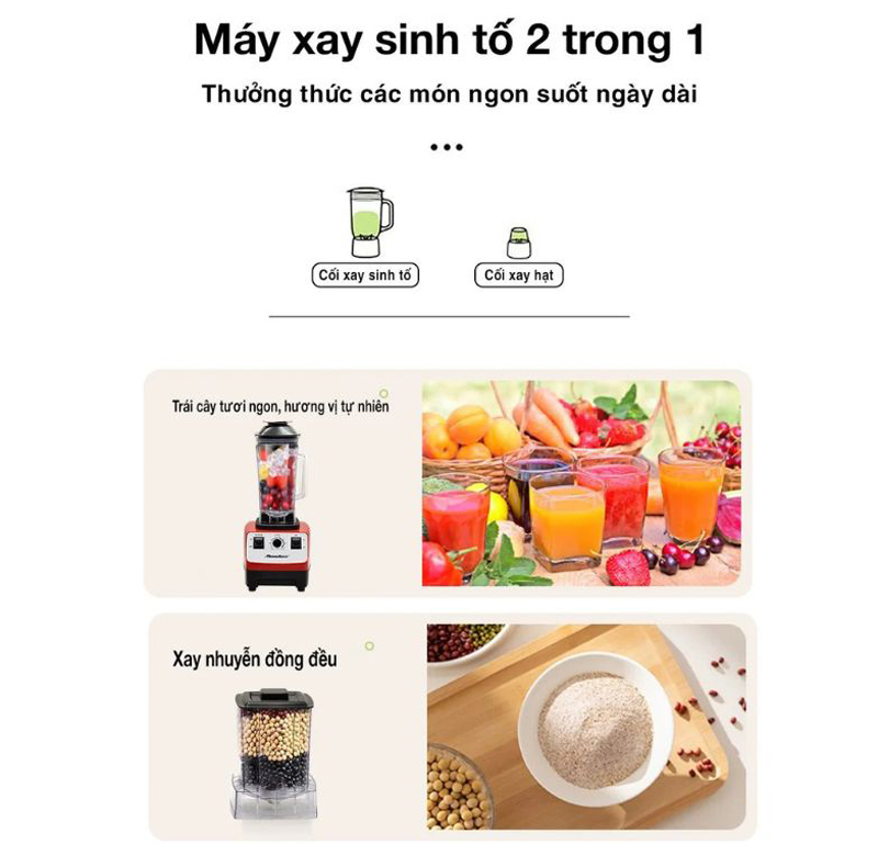 Máy xay sinh tố Raiden RD-620ST - Hàng chính hãng