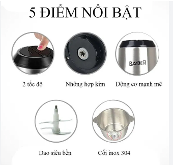 Máy xay thịt cối inox Raiden RD-202 - Hàng chính hãng