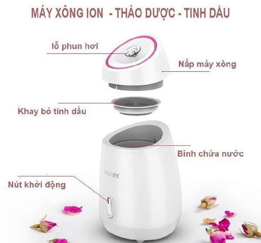 Máy xông hơi da mặt hoa quả tươi Maoer MR-Z1 - Hàng chính hãng