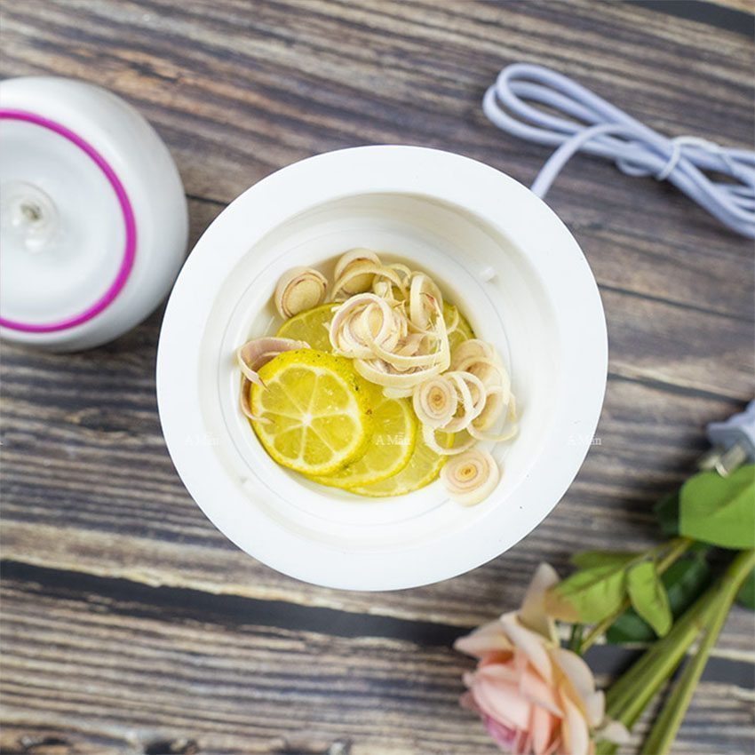 Máy xông hơi da mặt hoa quả tươi Maoer MR-Z1 - Hàng chính hãng