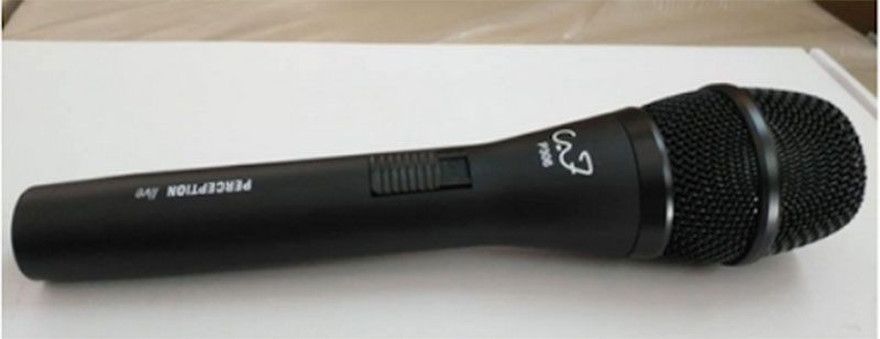 Micro karaoke có dây CAF P306 - Hàng chính hãng