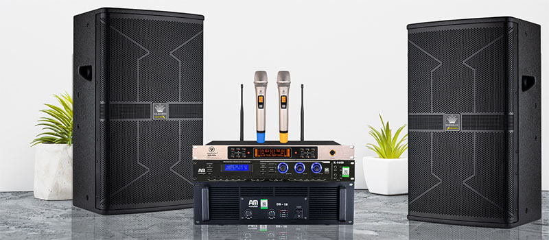 Micro không dây VinaKTV S-600XMax