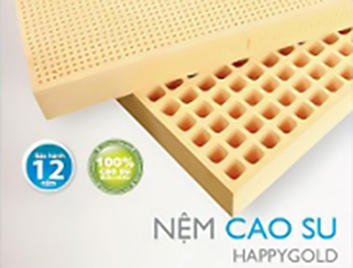 Nệm cao su Kim Cương HappyGold 100x200x5 - Hàng chính hãng