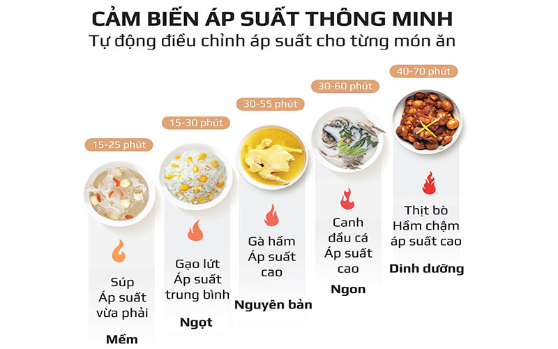 Nồi áp suất điện tử Olivo PC60 - Hàng chính hãng