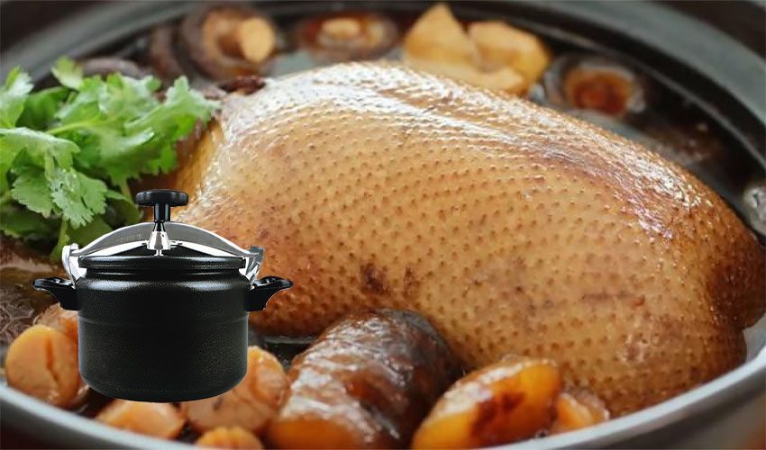 Nồi áp suất nấu gas Fujika FJAG199D - Hàng chính hãng