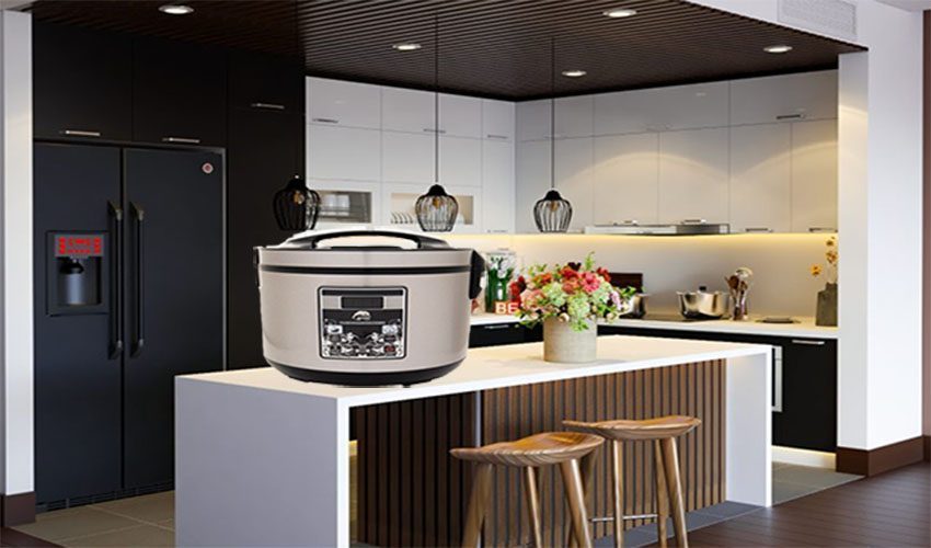 Nồi làm tỏi đen Iruka I-49 - Hàng chính hãng