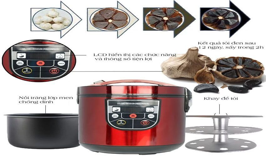 Nồi làm tỏi đen Mishio MK-54 - Hàng chính hãng