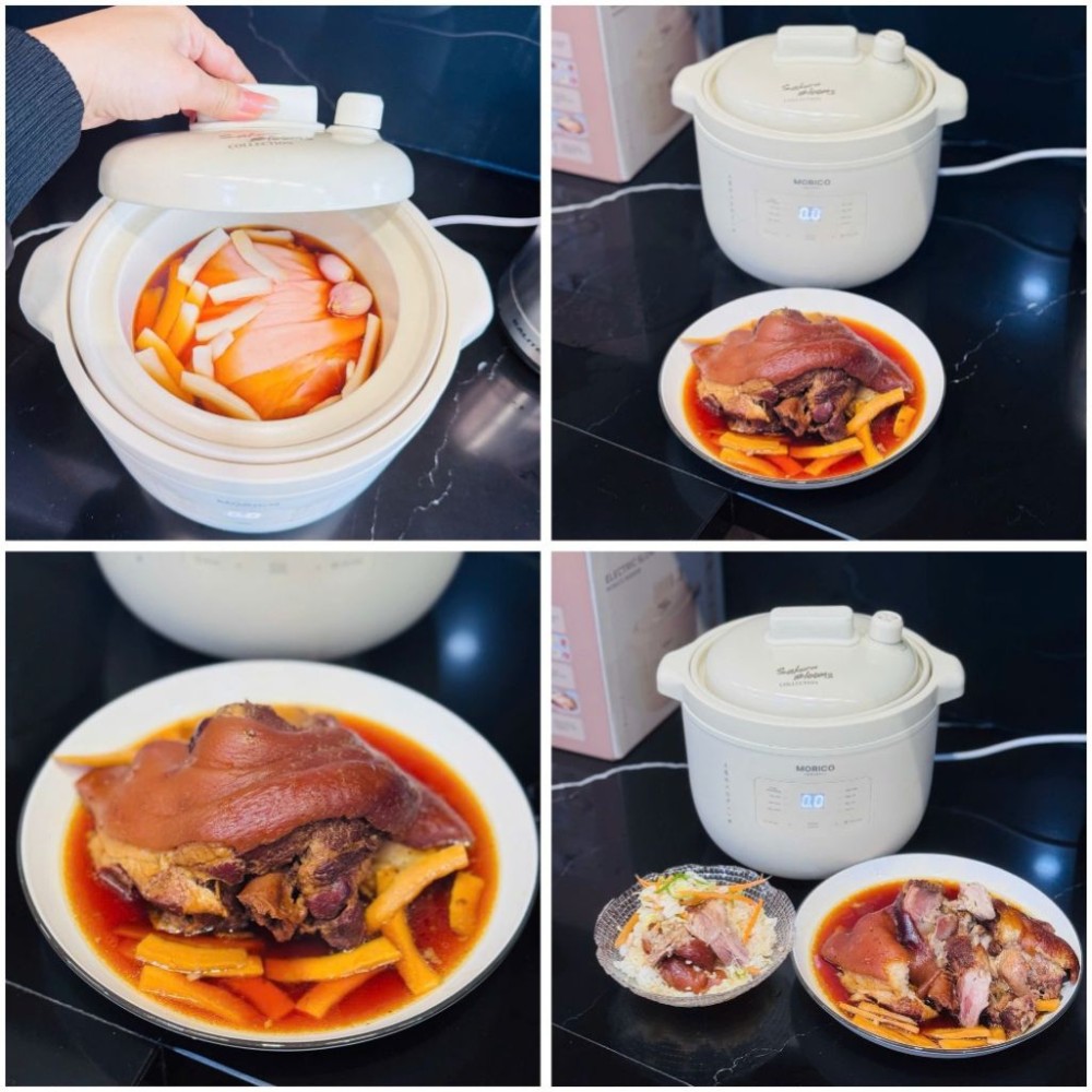 Nồi nấu chậm Morico MS6008 - Hàng chính hãng