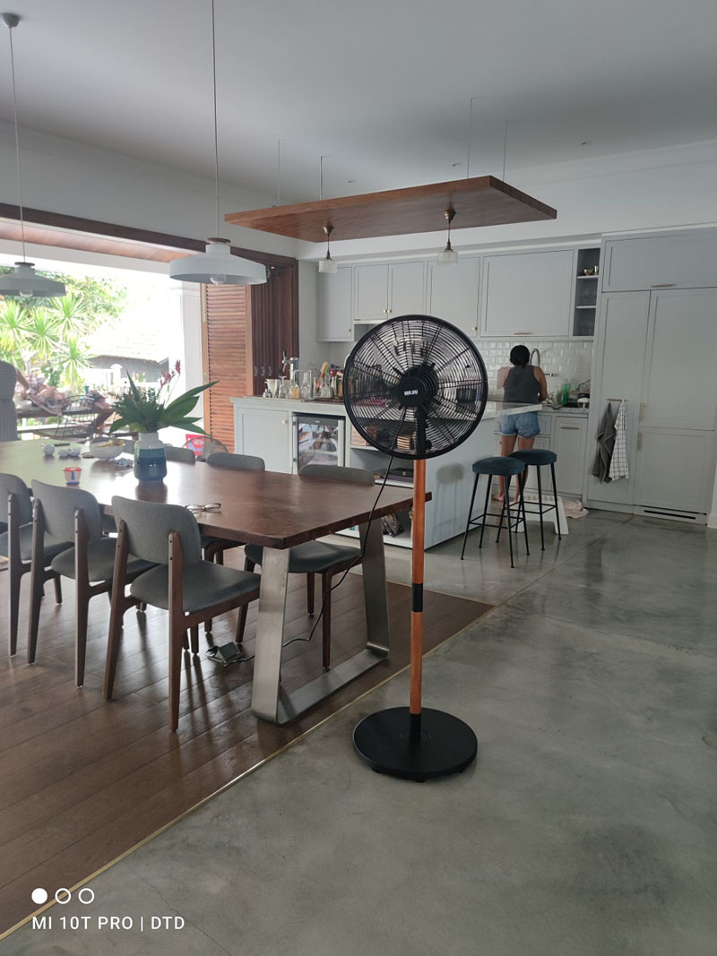 Quạt cây Mr.Vũ WINDY - Hàng chính hãng