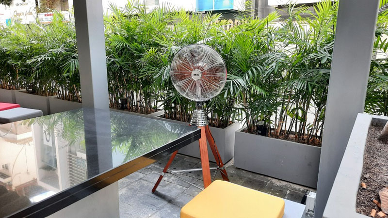 Quạt cây 3 chân Mr.Vũ BOUTIQUE - Hàng chính hãng