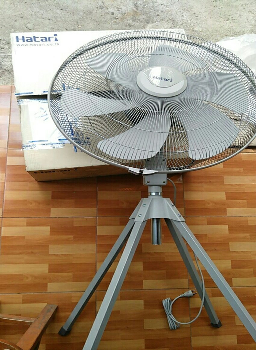 Hình ảnh thực tế của Quạt công nghiệp Hatari IQ25M1